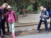 zoo14